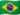 Português flag