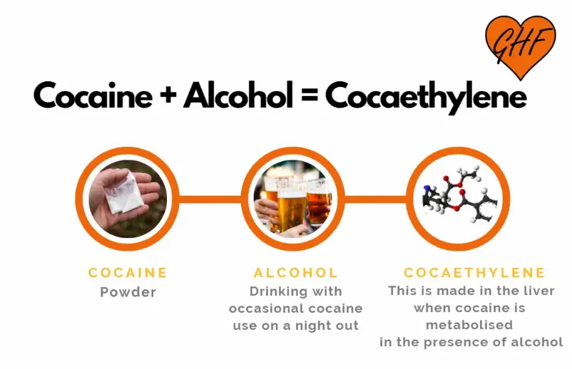 Physiopathologie de la toxicité du cocaéthylène